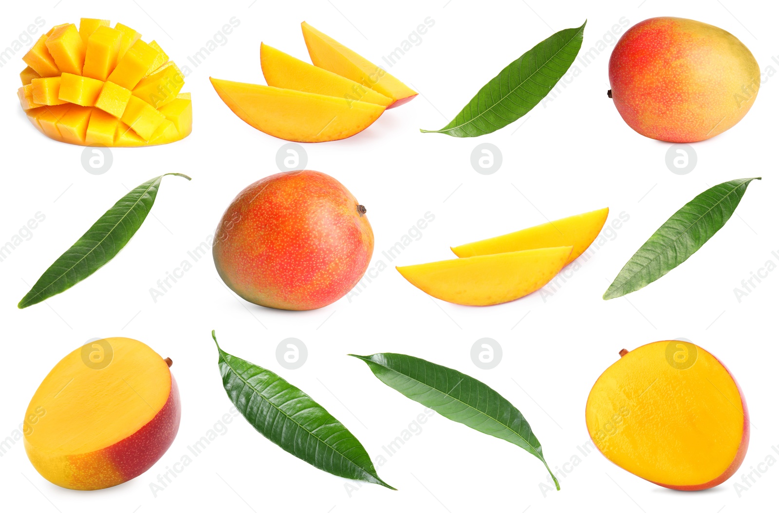 Image of Sweet mango fruits and green leaves isolated on white, set