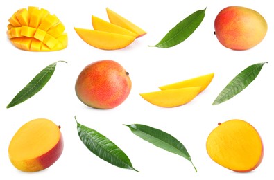Image of Sweet mango fruits and green leaves isolated on white, set