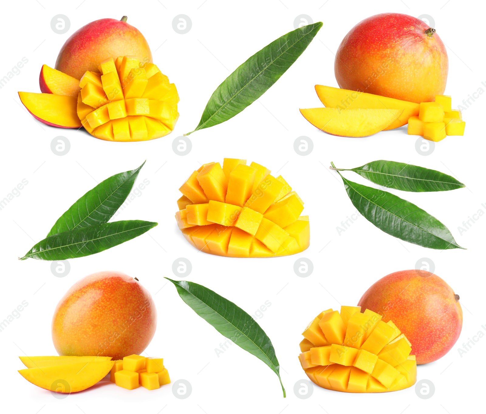 Image of Sweet mango fruits and green leaves isolated on white, set