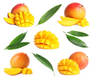 Image of Sweet mango fruits and green leaves isolated on white, set