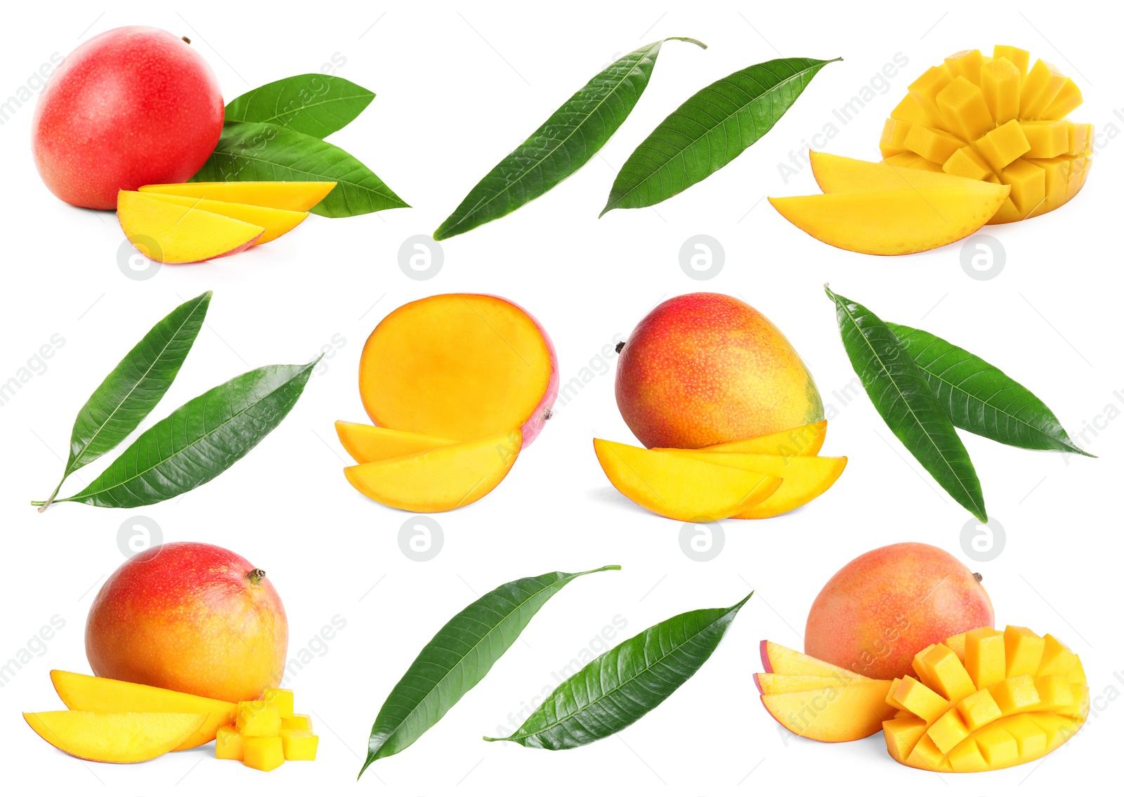 Image of Sweet mango fruits and green leaves isolated on white, set