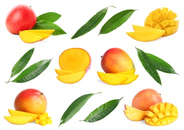 Image of Sweet mango fruits and green leaves isolated on white, set