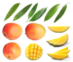 Image of Sweet mango fruits and green leaves isolated on white, set