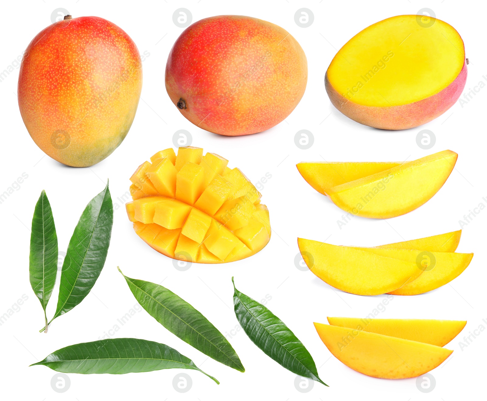Image of Sweet mango fruits and green leaves isolated on white, set
