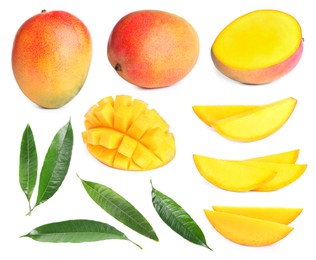 Image of Sweet mango fruits and green leaves isolated on white, set