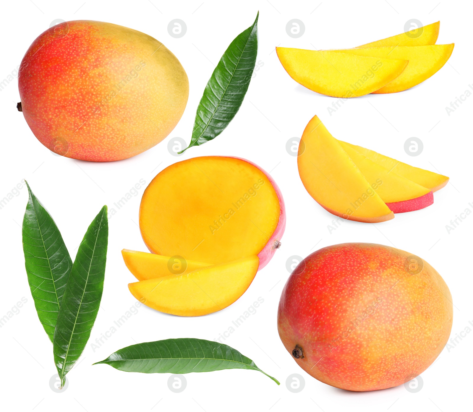 Image of Sweet mango fruits and green leaves isolated on white, set
