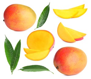 Image of Sweet mango fruits and green leaves isolated on white, set