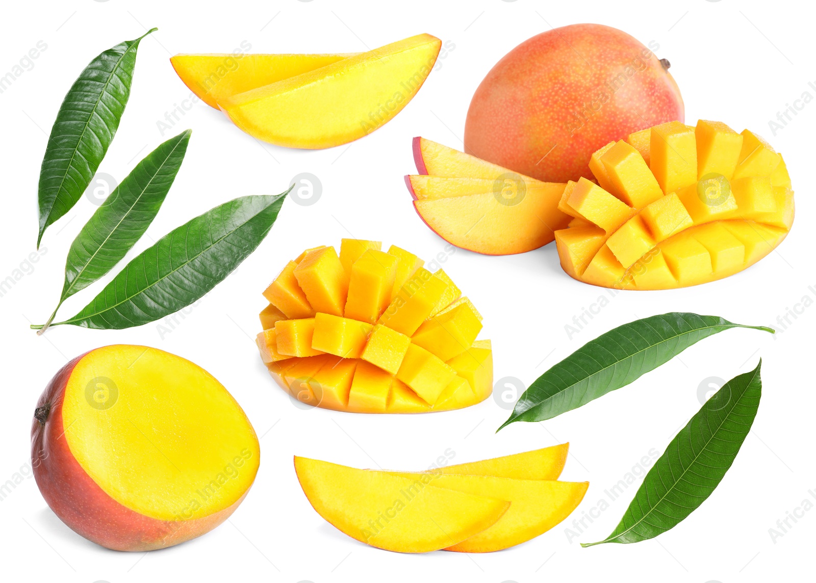 Image of Sweet mango fruits and green leaves isolated on white, set