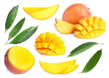 Image of Sweet mango fruits and green leaves isolated on white, set