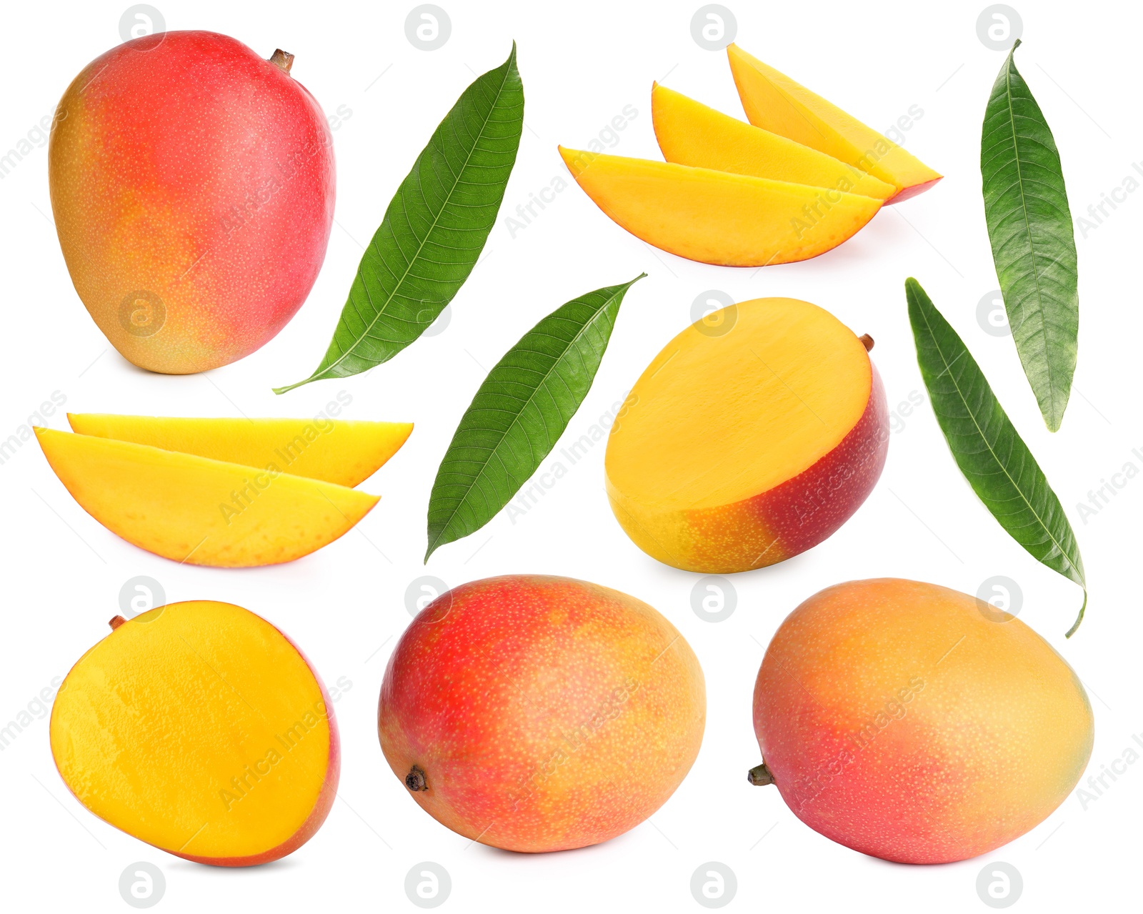 Image of Sweet mango fruits and green leaves isolated on white, set