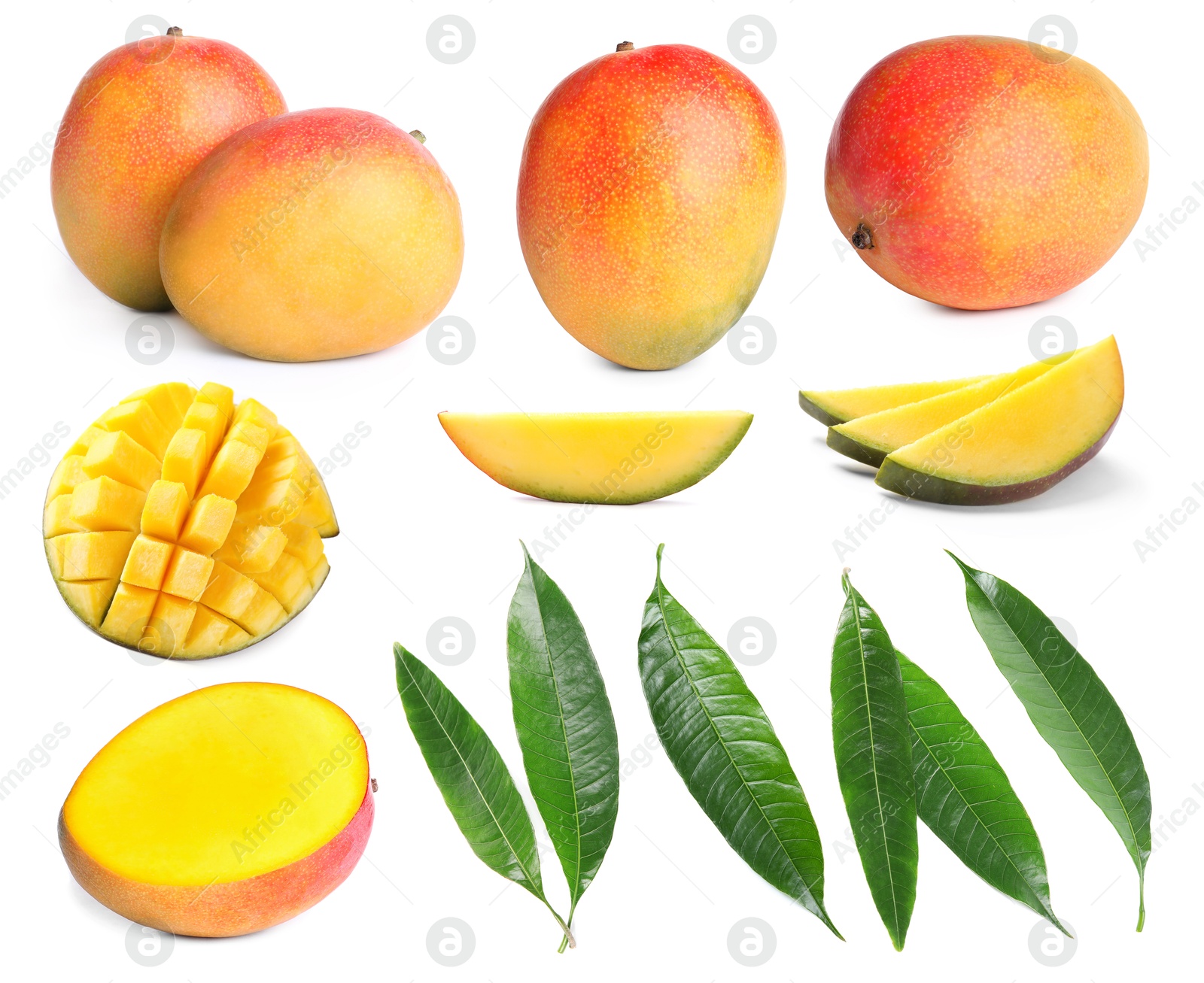 Sweet mango fruits and green leaves isolated on white, set Image of Sweet mango fruits and green leaves isolated on white, set