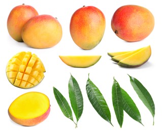 Image of Sweet mango fruits and green leaves isolated on white, set