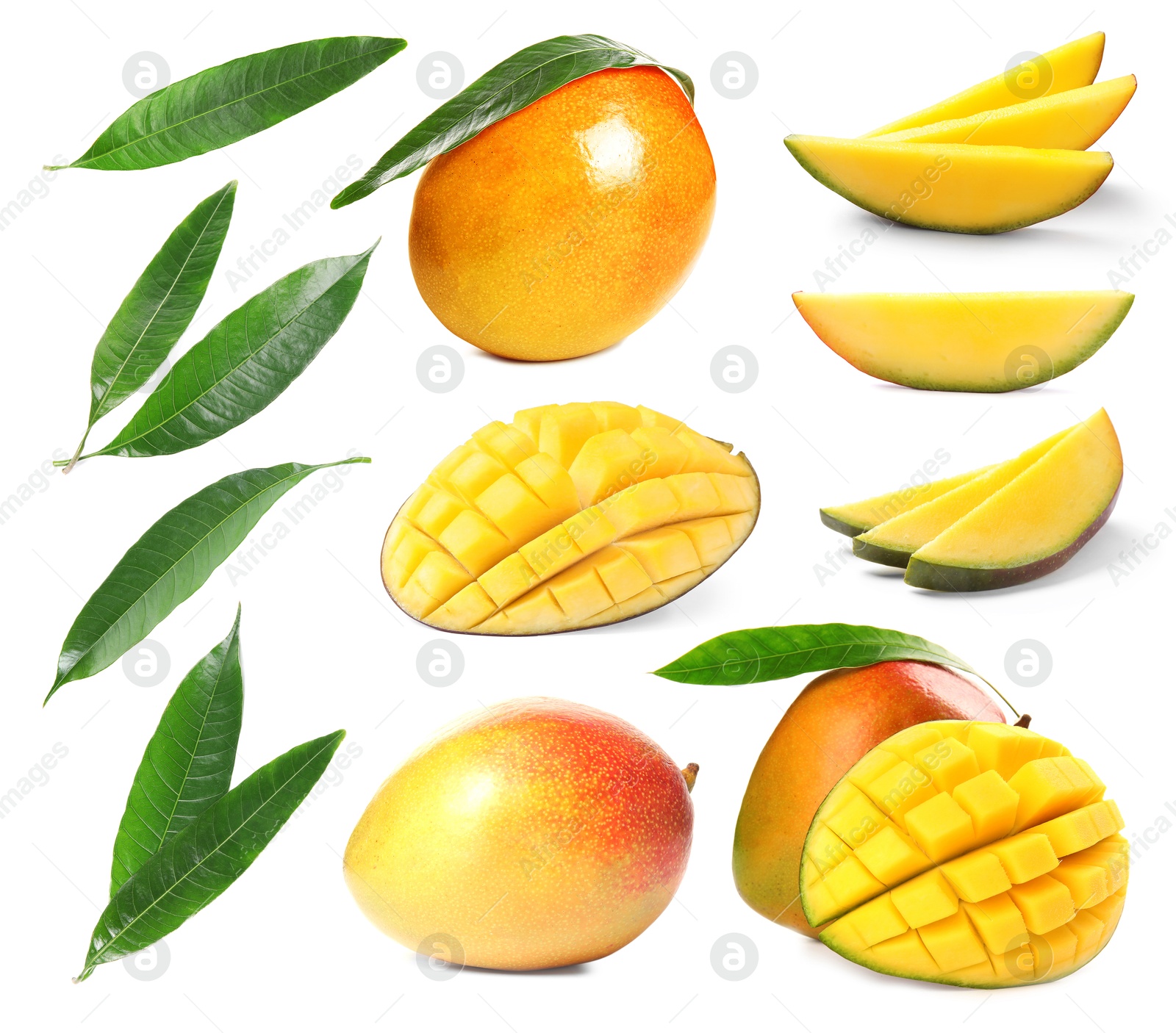 Sweet mango fruits and green leaves isolated on white, set Image of Sweet mango fruits and green leaves isolated on white, set