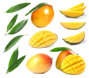 Image of Sweet mango fruits and green leaves isolated on white, set