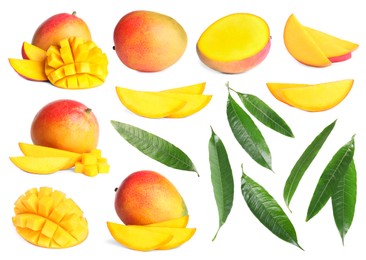 Image of Sweet mango fruits and green leaves isolated on white, set