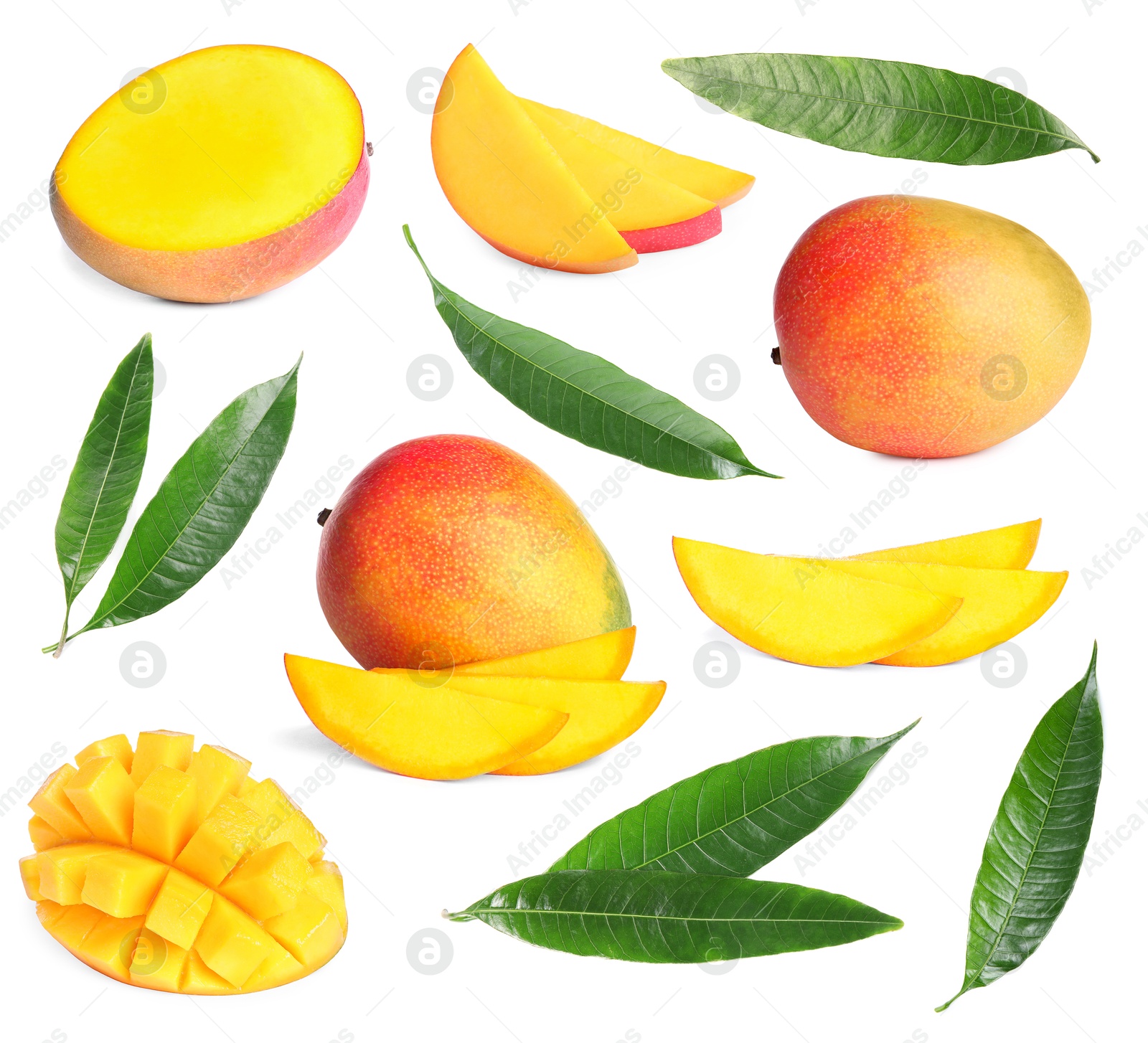 Sweet mango fruits and green leaves isolated on white, set Image of Sweet mango fruits and green leaves isolated on white, set