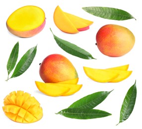 Image of Sweet mango fruits and green leaves isolated on white, set