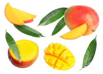 Image of Sweet mango fruits and green leaves isolated on white, set