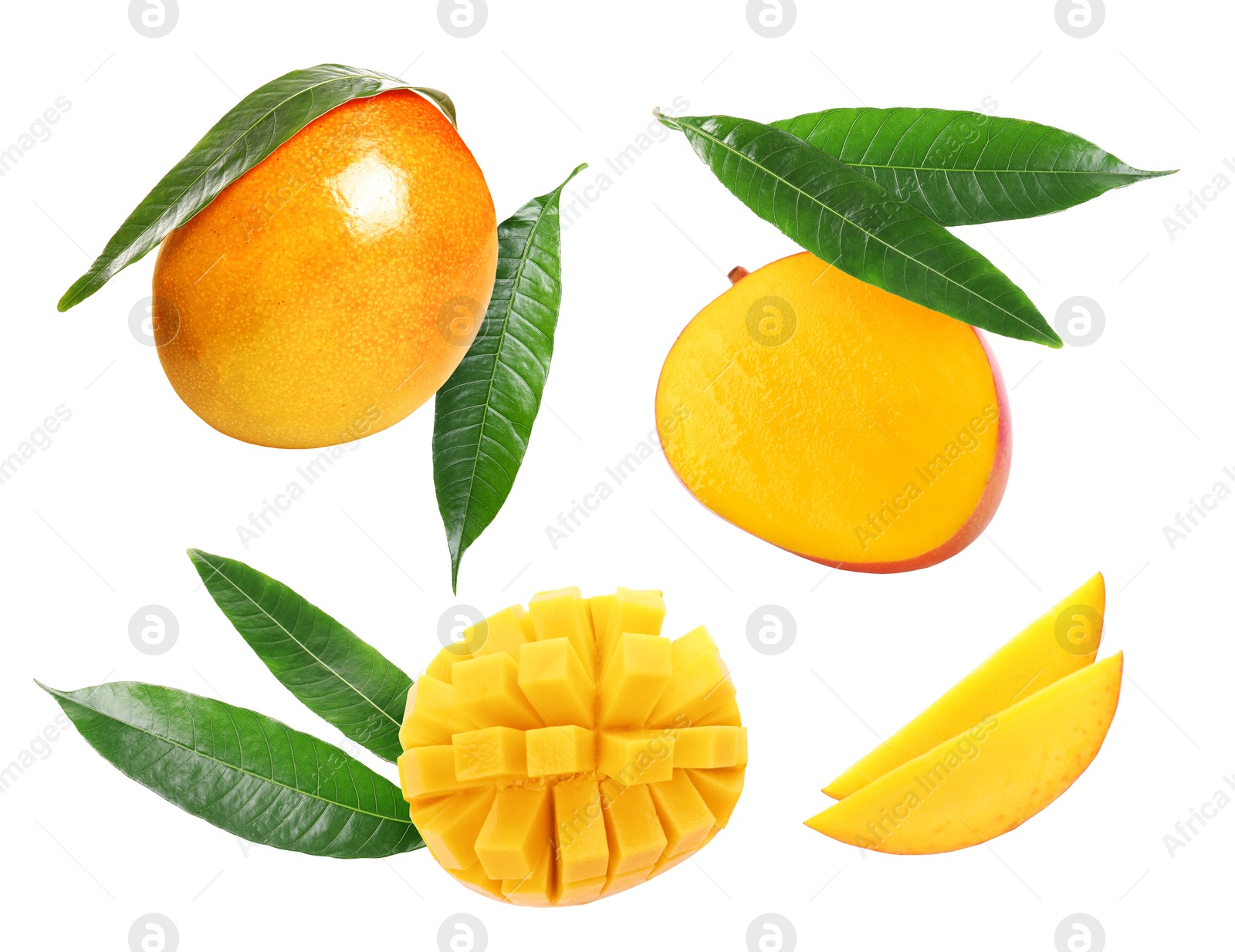 Sweet mango fruits and green leaves isolated on white, set Image of Sweet mango fruits and green leaves isolated on white, set