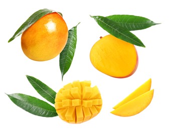 Image of Sweet mango fruits and green leaves isolated on white, set