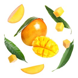 Image of Sweet mango fruits and green leaves isolated on white, set