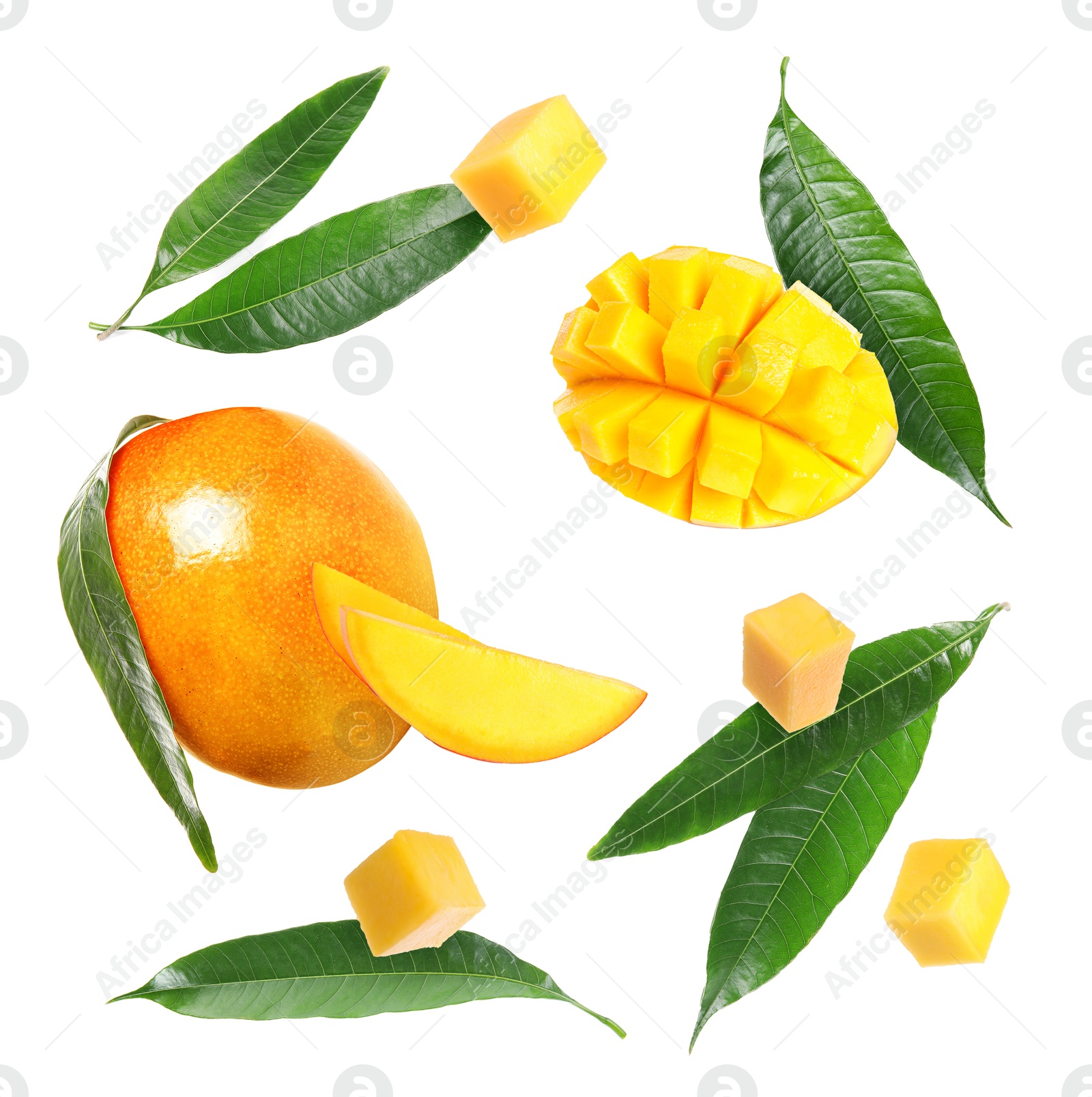 Sweet mango fruits and green leaves isolated on white, set Image of Sweet mango fruits and green leaves isolated on white, set