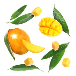 Image of Sweet mango fruits and green leaves isolated on white, set