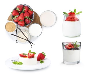 Image of Yummy panna cotta and ingredients isolated on white, set