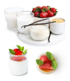 Image of Yummy panna cotta and ingredients isolated on white, set