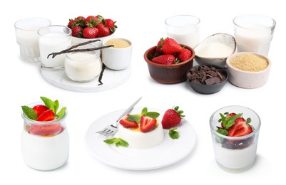 Image of Yummy panna cotta and ingredients isolated on white, set
