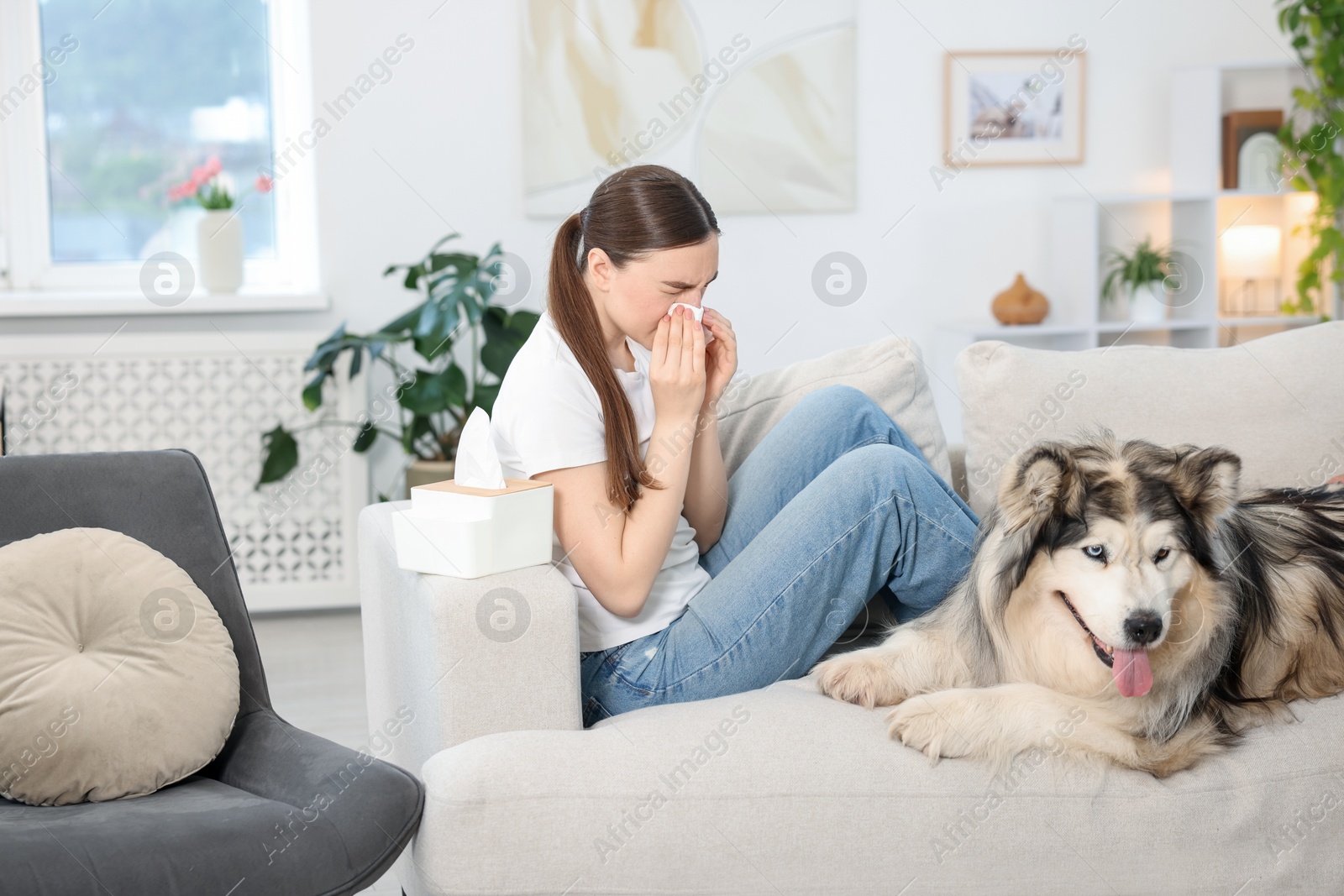 Woman suffering from allergy with her dog at home Photo of Woman suffering from allergy with her dog at home