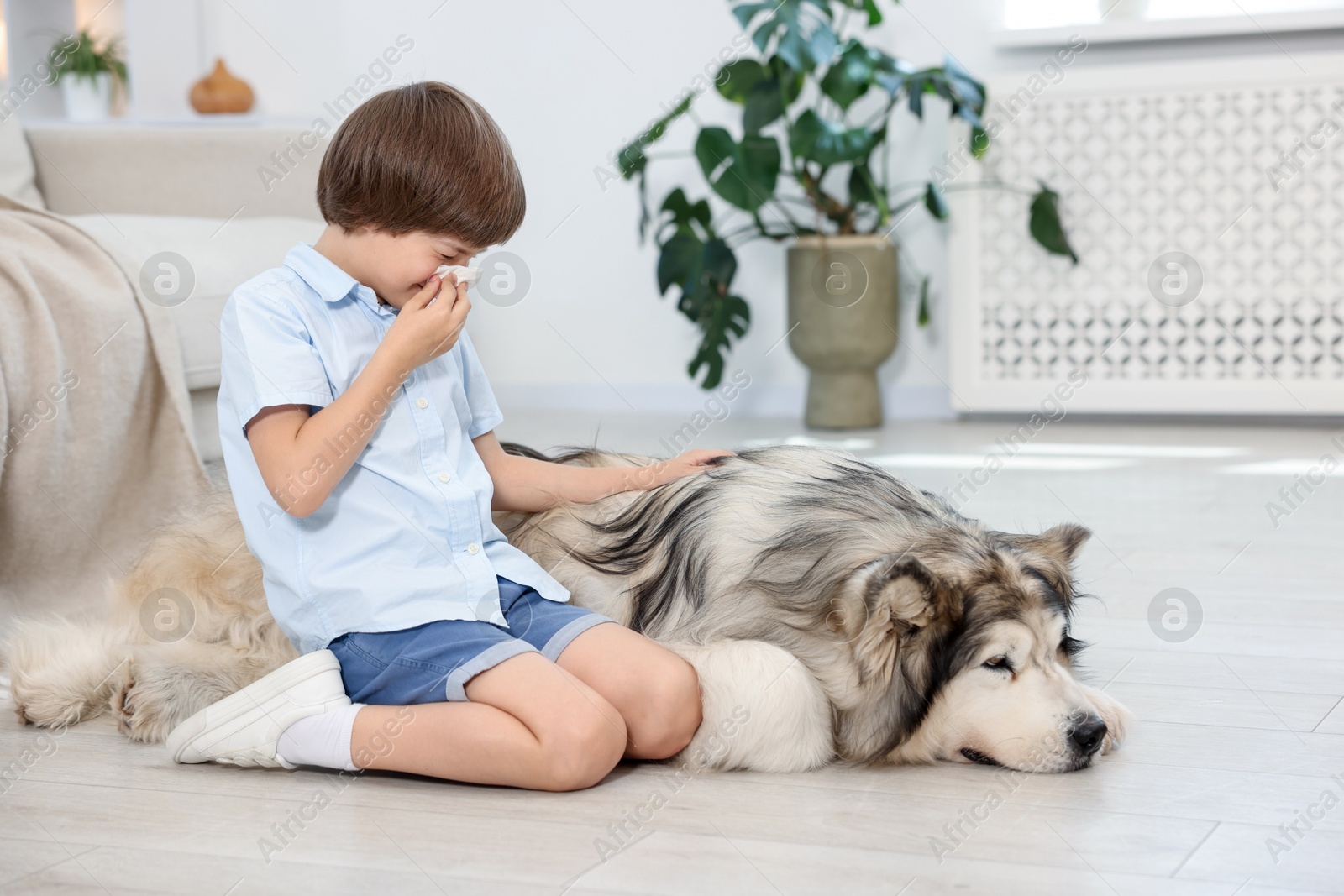 Boy suffering from allergy with her dog at home Photo of Boy suffering from allergy with her dog at home