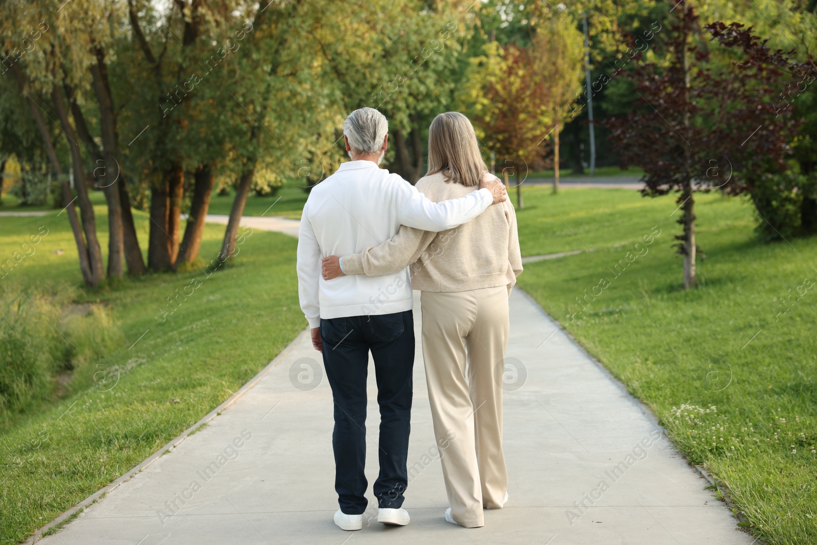 Lovely senior couple walking together in park, back view Photo of Lovely senior couple walking together in park, back view
