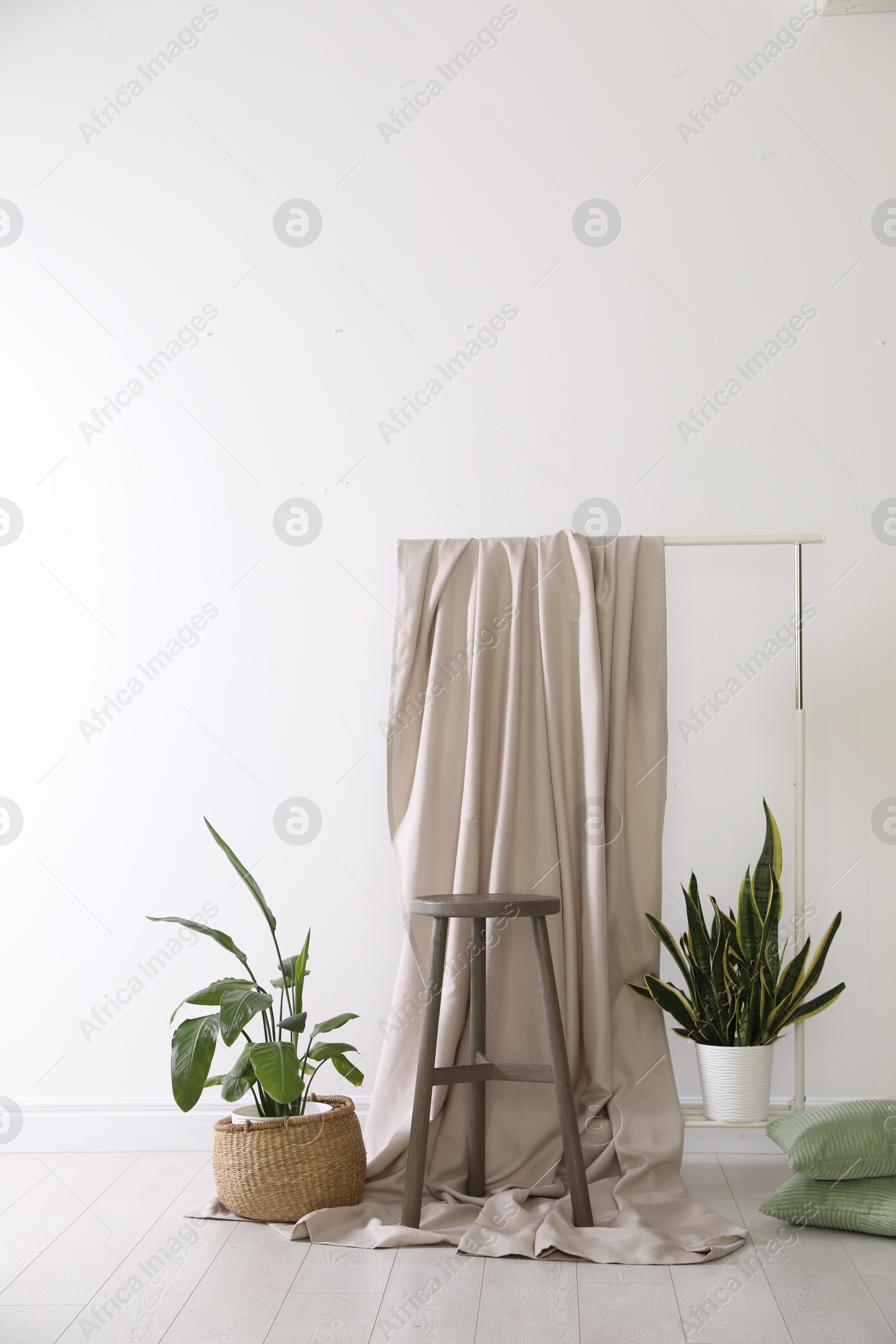 Photo zone with different potted plants in studio Photo of Photo zone with different potted plants in studio