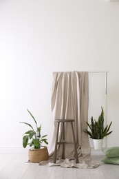 Photo of Photo zone with different potted plants in studio
