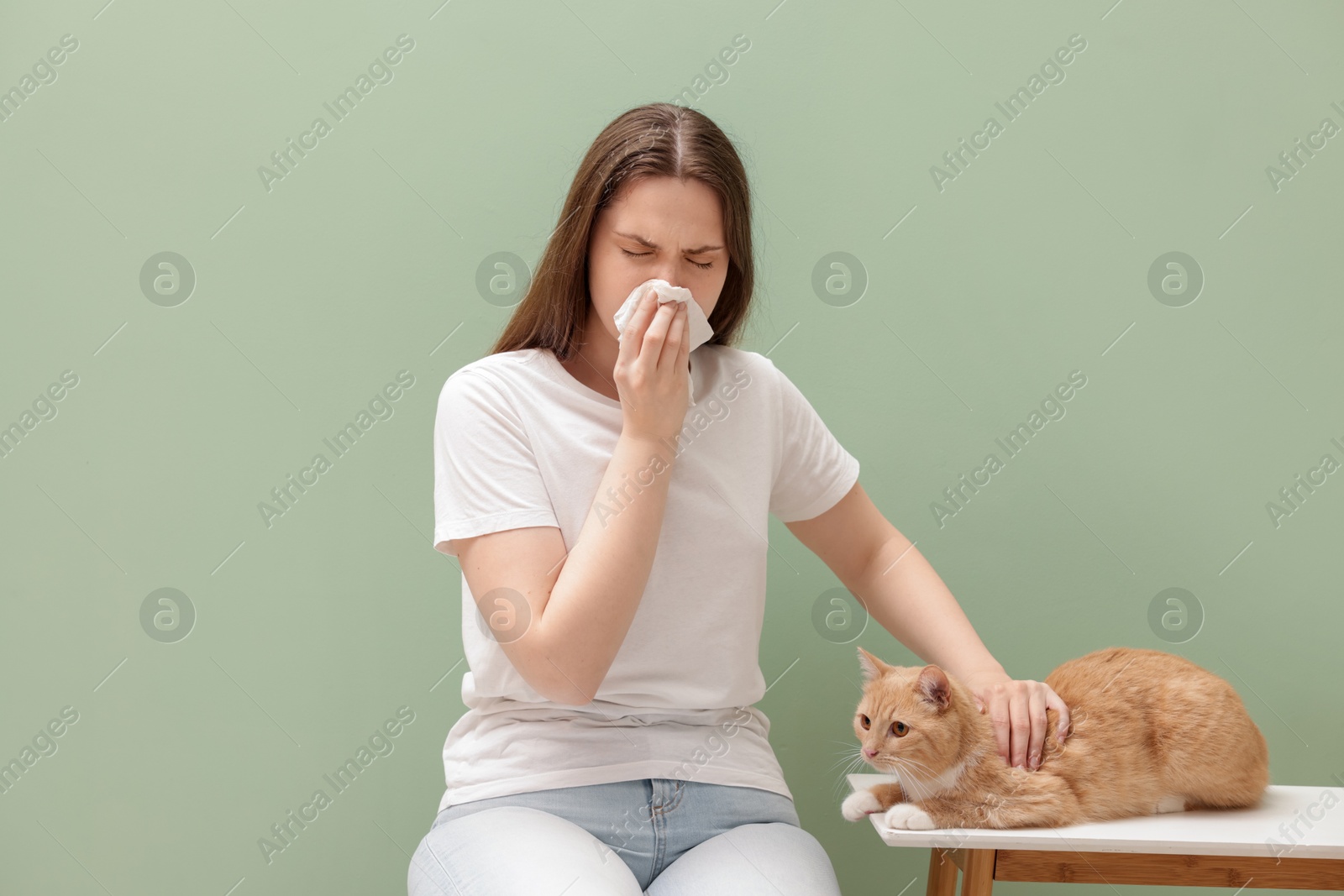 Woman suffering from allergy with her cat near green wall indoors Photo of Woman suffering from allergy with her cat near green wall indoors