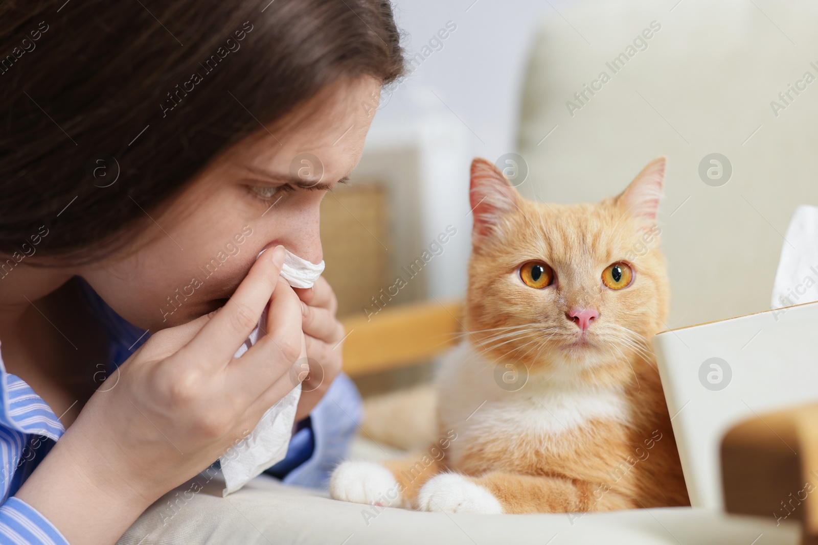 Woman suffering from allergy with her cat at home, closeup Photo of Woman suffering from allergy with her cat at home, closeup