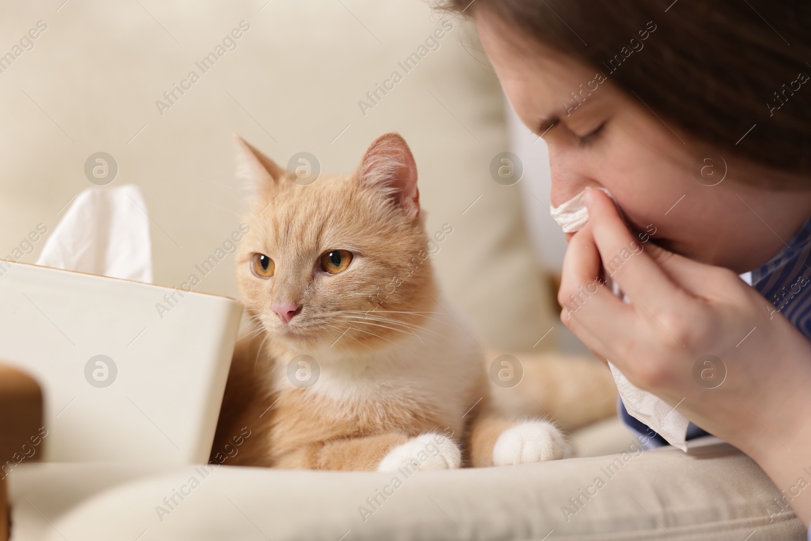 Woman suffering from allergy with her cat at home, closeup Photo of Woman suffering from allergy with her cat at home, closeup