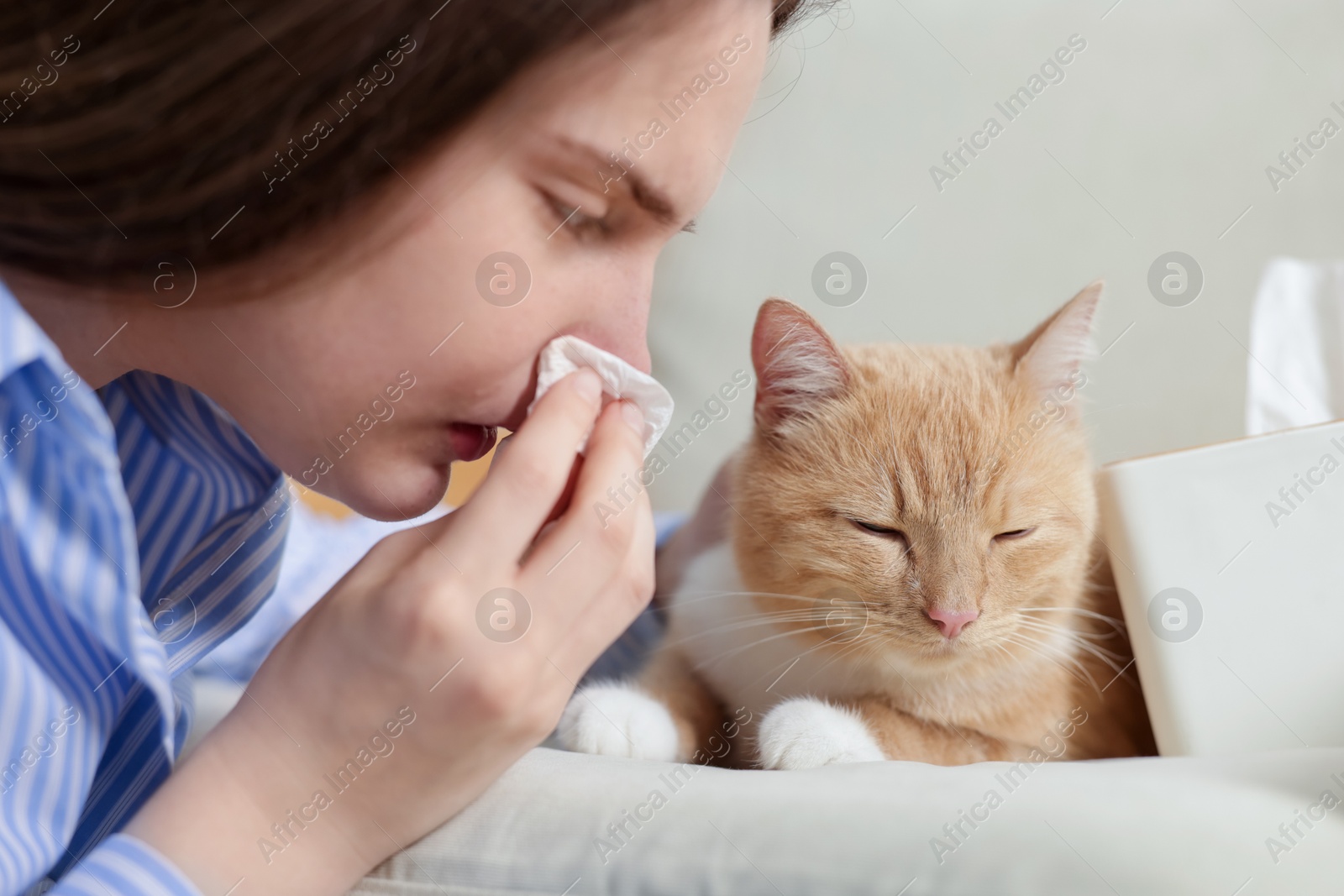 Woman suffering from allergy with her cat at home, closeup Photo of Woman suffering from allergy with her cat at home, closeup