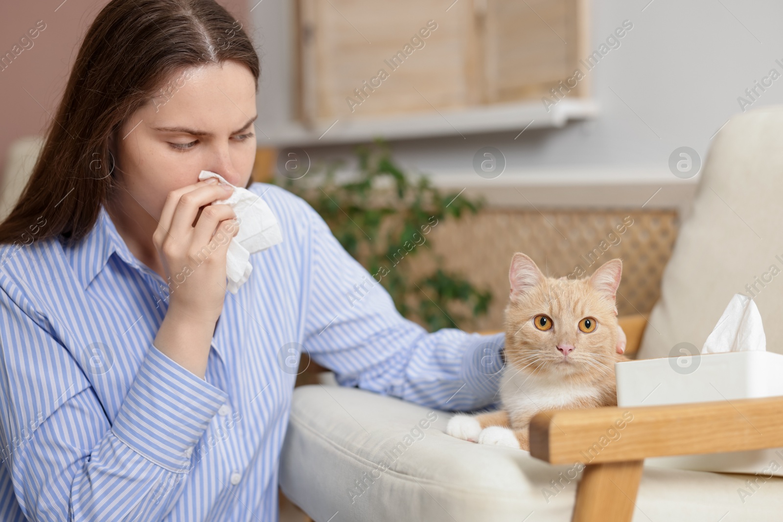 Woman suffering from allergy with her cat at home Photo of Woman suffering from allergy with her cat at home