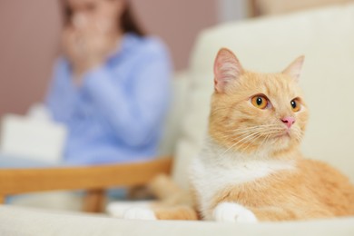 Photo of Woman suffering from allergy with her cat at home, selective focus