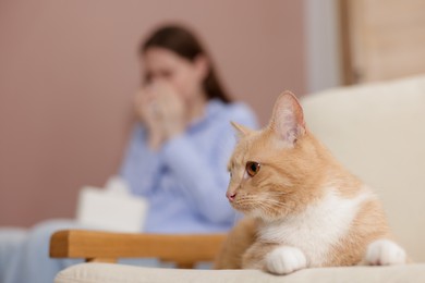 Photo of Woman suffering from allergy with her cat at home, selective focus