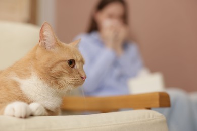 Photo of Woman suffering from allergy with her cat at home, selective focus