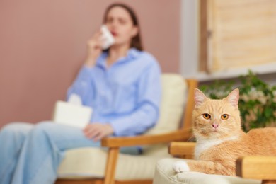 Photo of Woman suffering from allergy with her cat at home, selective focus