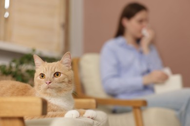 Photo of Woman suffering from allergy with her cat at home, selective focus
