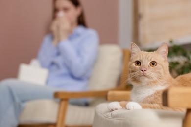 Photo of Woman suffering from allergy with her cat at home, selective focus