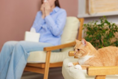 Photo of Woman suffering from allergy with her cat at home, selective focus