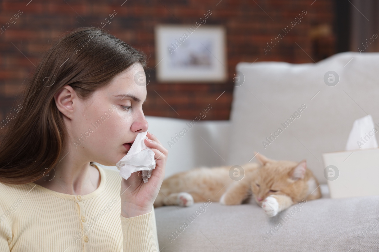 Woman suffering from allergy with her cat at home, selective focus Photo of Woman suffering from allergy with her cat at home, selective focus