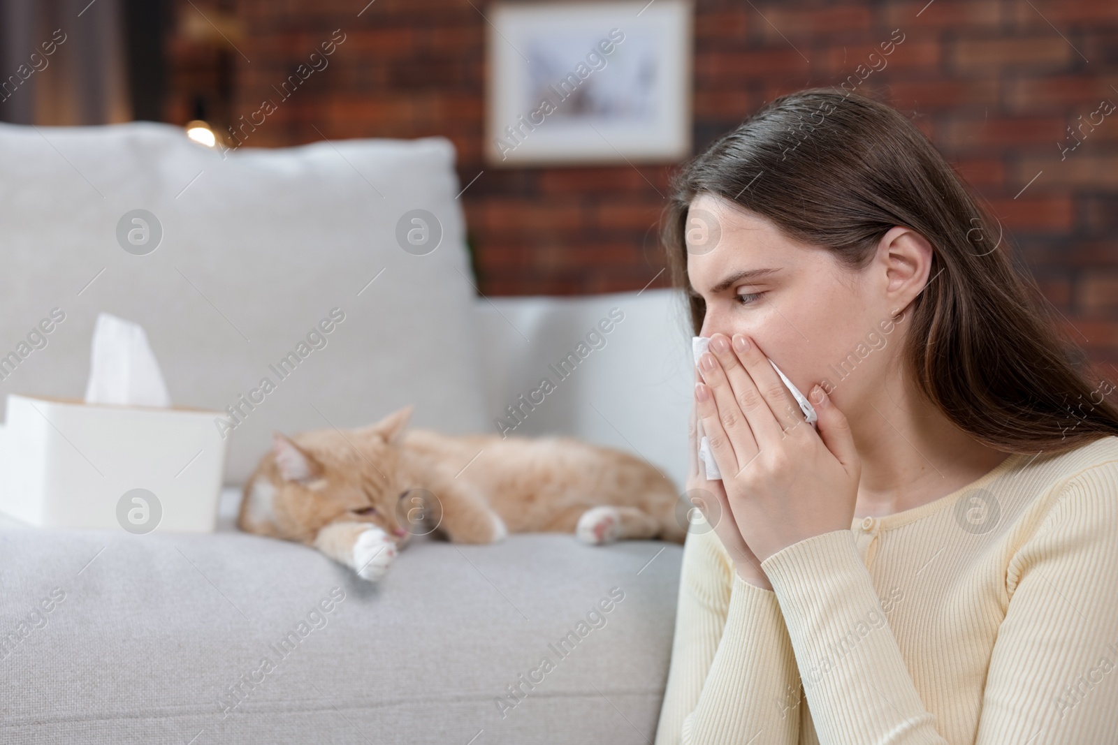 Woman suffering from allergy with her cat at home, selective focus Photo of Woman suffering from allergy with her cat at home, selective focus