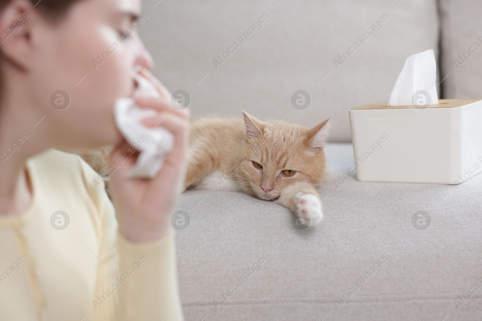 Woman suffering from allergy with her cat at home, selective focus Photo of Woman suffering from allergy with her cat at home, selective focus